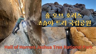 Hall of Horrors, The most thrilling spot in Joshua Tree National Park 조슈아 트리 국립공원에서 가장 흥미진진한 캐년