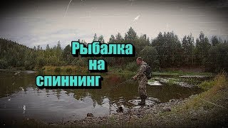 Рыбалка на СПИННИНГ/п.Шуркино/п.Ис/Fishing on a SPINNING/p. Churkina/p. IP...