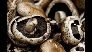 Portobello Mushrooms 101 - Selecting and Storing Portobello Mushrooms