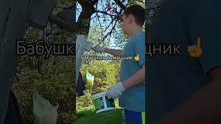 Когда звонит друг,а ты на даче вкалываешь😁⚒️#дача #огород #семья