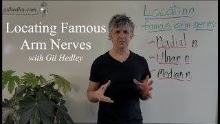 Locating Famous Arm Nerves: Learn Integral Anatomy with Gil Hedley