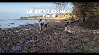 Exploring Tides at Mazu Beach! #bali #familyadventure