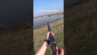 Ружье МЦ-9 курковое СССР 12 калибр