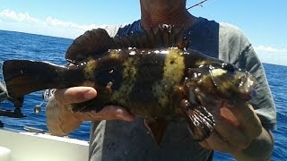 Fishing Fun at Direction Bank in the Indian Ocean Perth Western Australia