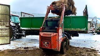 ☆ Wywalanie Obornika od Byków ☆ Mini Ładowarka Fai ☆ Zetor Proxima 85 ☆ Zima 2021☆