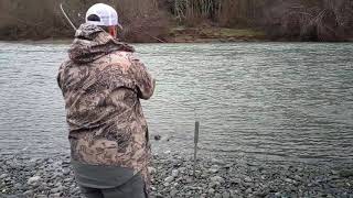 Chetco Steelhead / Dave J. 1-17-20