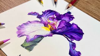 ✸ Techniques for Drawing Flowers ✸ Bearded Iris