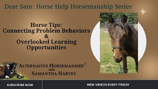 Horse Tips: Behavior Problems & Improving Skills Dear Sam: Horse Help