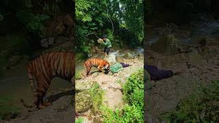 you will not die anymore care is to cacth the tiger is the river part 168 #shorts #viral #tiger