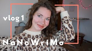 NANOWRIMO 2020 | Why Socializing Strengthens Your Writing |  Daily Word Count Goals & More! | vlog 1