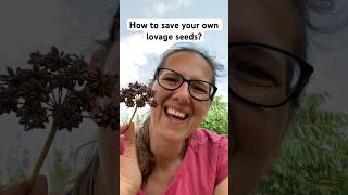 Easy way to save your own lovage seeds #growveg #growyourownveg #gardening #seeds