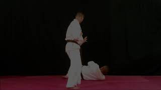 35 ( Kari taoshi Básico ) Nippon kempo 日本拳法 Ниппон кэмпо