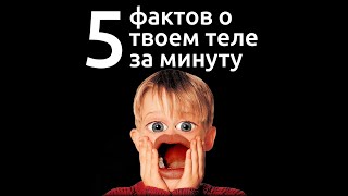 5 удивительных фактов о твоём теле за одну минуту!