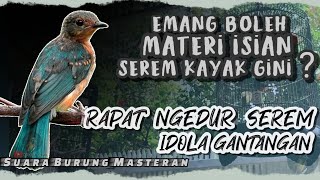 MASTERAN TEMBAKAN RAPAT DAN KASAR UNTUK ISIAN || Masteran Untuk Burung Gantangan ~ NGEDUR