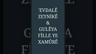 BELGESEL/ Evdalê Zeynikê û Gulê ya Fille ye Xamûr ê