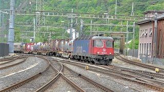 Trains at Brig Railway Station | Züge am Bahnhof Brig