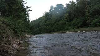 Relaxing River Sound - Gentle River, Nature Sounds, Singing Birds Ambience