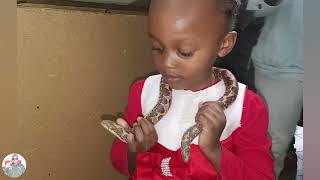 A tour of the Nairobi Snake Park in Africa | What's Inside Nairobi Snake Park