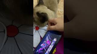 Handsome visitor likes nana in mobile legend #rycrisnar #uae #alain #dubai #cat #mobilelegends