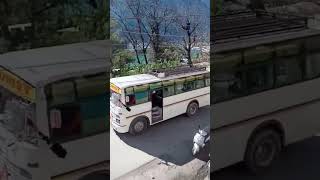 UNSTOPPABLE BUS /#uttarakhand #tatamotors #popularshorts