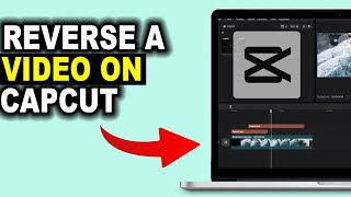 How to Reverse Videos on CapCut PC Like a Pro