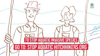 How Wading Anglers Can Stop Aquatic Hitchhikers