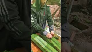 San Pedro cactus Preparation Entheogens Peru soul sanctuary