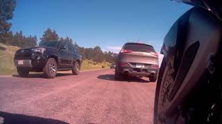 Buffalo walks in front of Motorcycle South Dakota