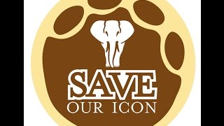 SAVE OUR ICON