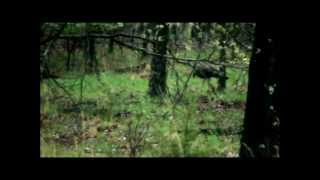 Mahoney Outdoors - Turkey Hunting 2011