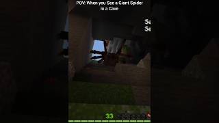 POV : When you See a Giant Spider in a Cave #shorts #minecraft #chase