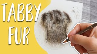 How To Draw TABBY FUR | Colored Pencil Drawing Tutorial