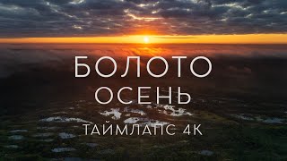 Болото. Осень. Таймлапс 4К | Swamp. Autumn. Timelapse 4K