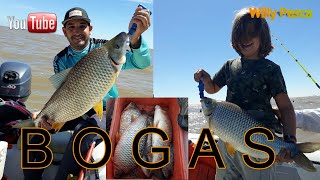 PESCA DE BOGAS CON SUSCRIPTORES - RIO DE LA PLATA - FISHING IN THE RIVER - boat - fishing - Pesca