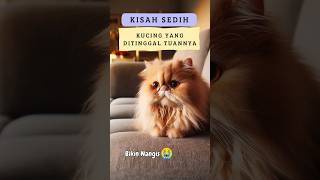 Kisah Kucing Sedih Menyakitkan 😭😭