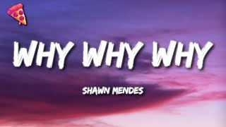 Shawn Mendes - Why Why Why (Lyrics)