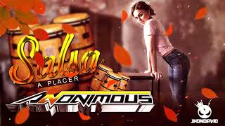 🎺SALSA A PLACER 🍷 Anonimous (Discplay) El Hacker Musical 🎭 @DjJhonDavid 😎