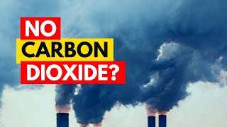 What If All CARBON DIOXIDE Disappeared? | #shorts