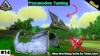 Finally Pteranodon Taming – Soothing Balm ke Bina – Ark Survival Evolved – #14