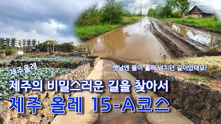 [4k] 제주올레 ｜ 제주의 비밀스러운 길을 찾아서, 올레 15-A코스