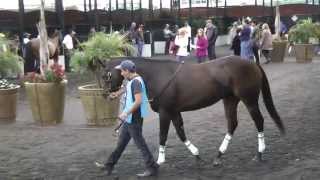 2014 Oakland Stakes at Golden Gate Fields