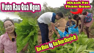 Antonio và Maria Phá Nhà|| 2Q thu Hoạch rau bán lên thủ đô|| 2Q Vlogs Cuộc Sống Châu Phi