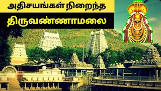 திருவண்ணாமலை அதிசயங்கள்//Devotional channel in Tamil