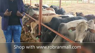 MORE TIPS ON MANAGING A SUCCESSFUL FEEDLOT ll Natwijuka Brian +256789491350