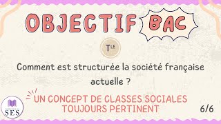 [BAC] Cours structure sociale - L'analyse en termes de classes sociales est pertinente