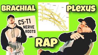 Brachial Plexus Rap 🎵 | Learning & Memorizing the Brachial Plexus ( FUNdamental RAPS ) Neurology