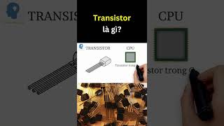 Transistor là gì? | Tri thức nhân loại