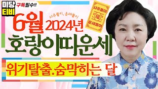 2024년 호랑이띠 6월운세, (27세, 39세, 51세, 63세, 75세), 용한점집, 보리암, 유명한점집, 금전운, 문서운, 직업운, 애정운, 가정운, 사업운