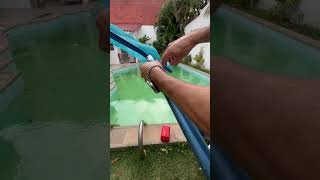 Let me show you what to do with a pool with green water