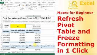 Auto-Refresh Pivot Table and Freeze Format in 1 Click - Macro for Beginner